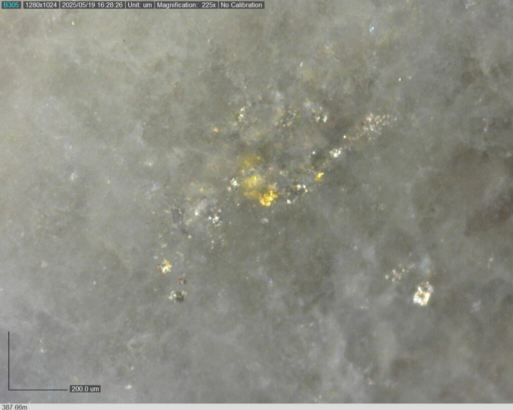 DDRCCC-25-077 387.66m @225x