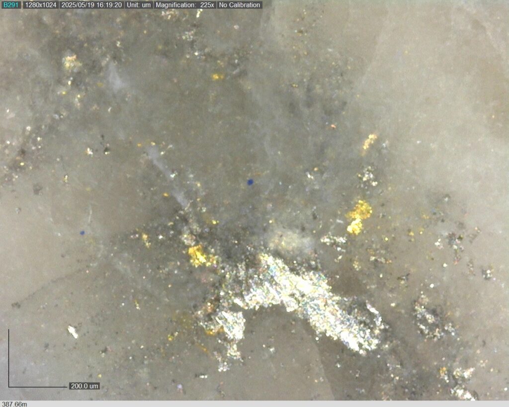 DDRCCC-25-077 387.66m @225x