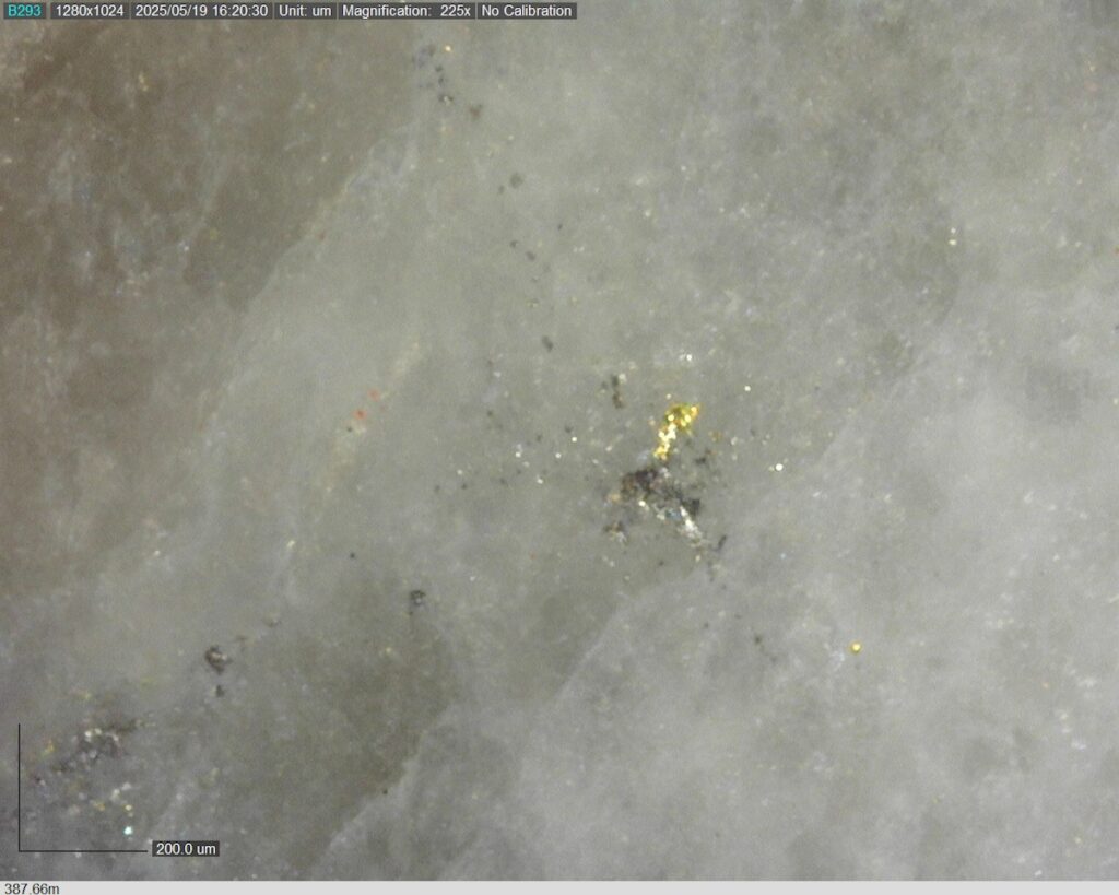 DDRCCC-25-077 387.66m @225x