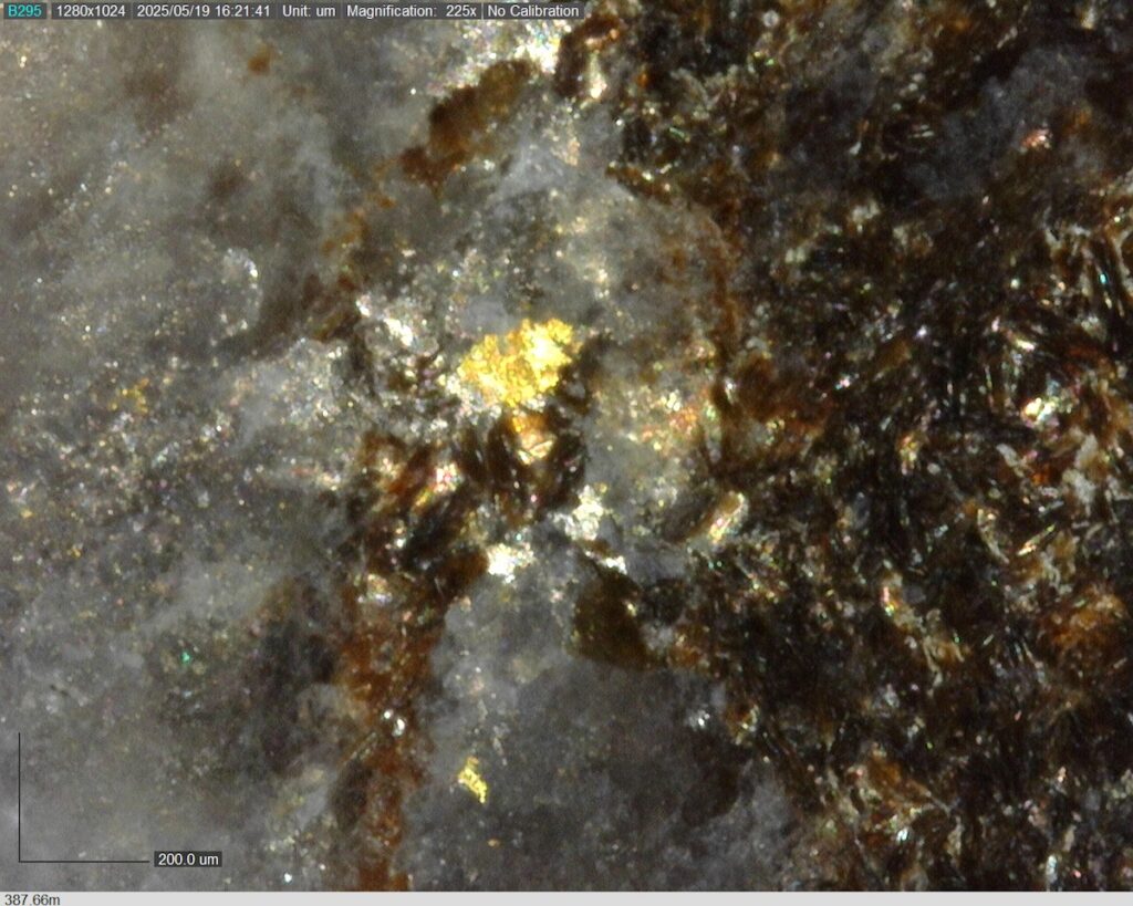 DDRCCC-25-077 387.66m @225x