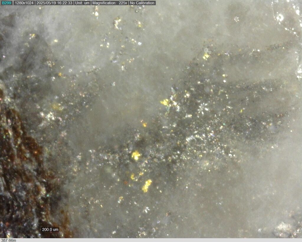 DDRCCC-25-077 387.66m @225x