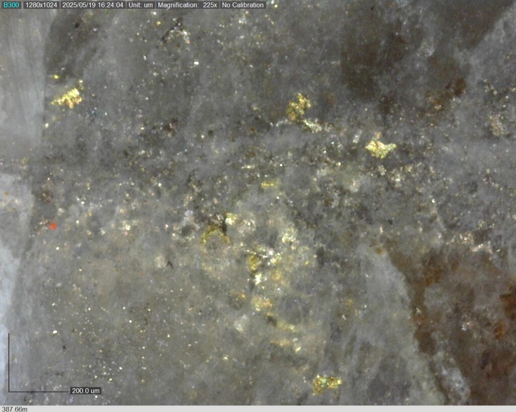 DDRCCC-25-077 387.66m @225x