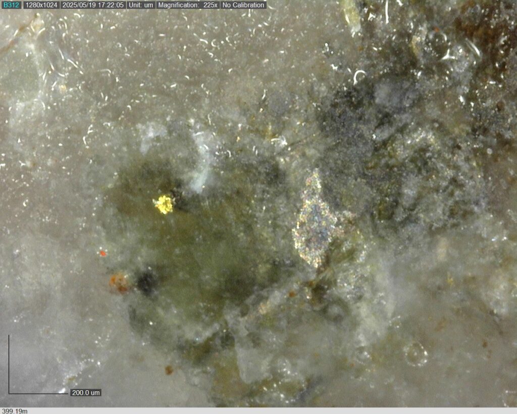 DDRCCC-25-077 399.19m @225x