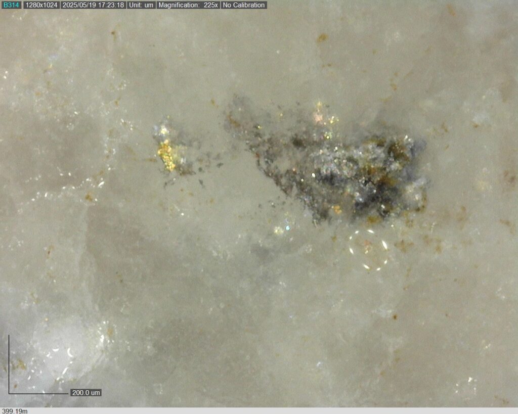 DDRCCC-25-077 399.19m @225x