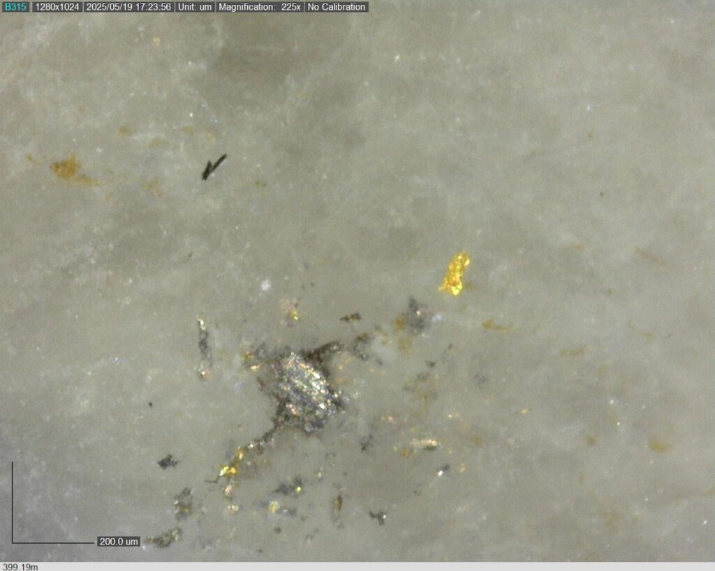 DDRCCC-25-077 399.19m @225x