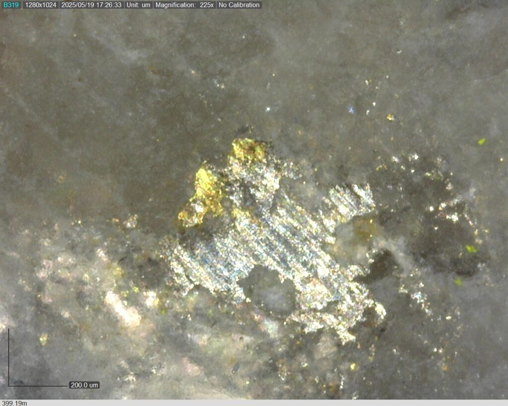 DDRCCC-25-077 399.19m @225x