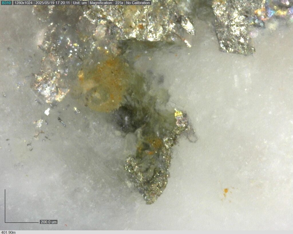 DDRCCC-25-077 401.90m @225x