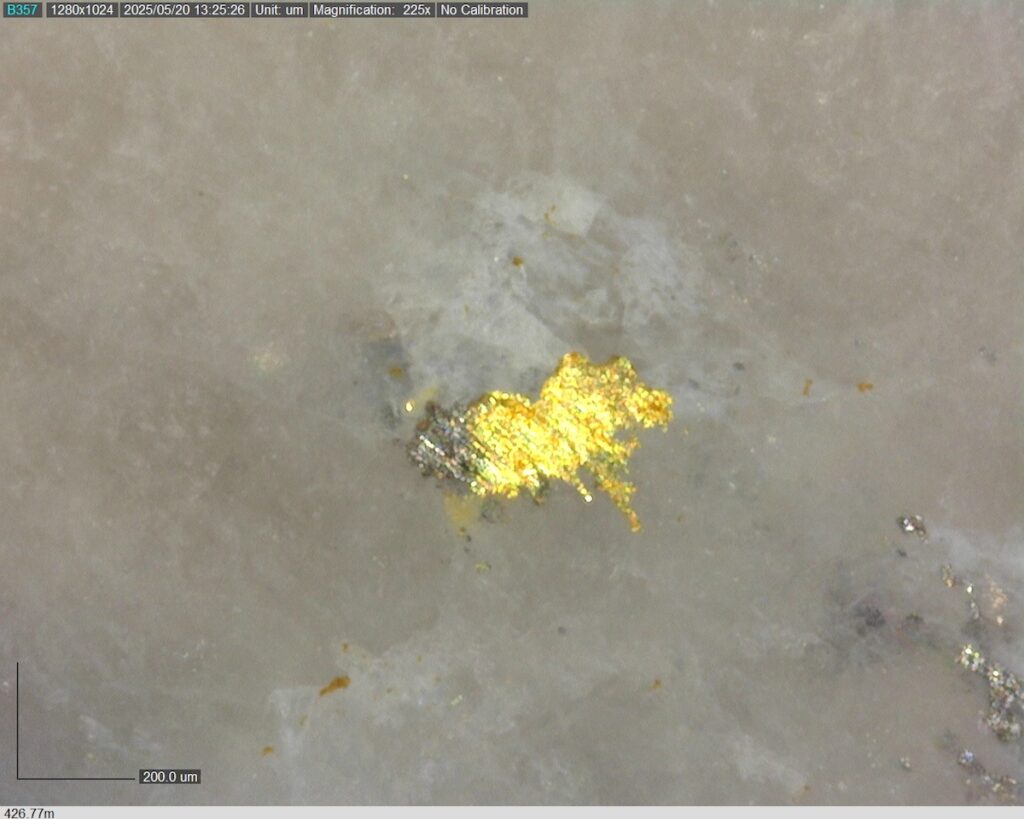 DDRCCC-25-077 426.77m 225x