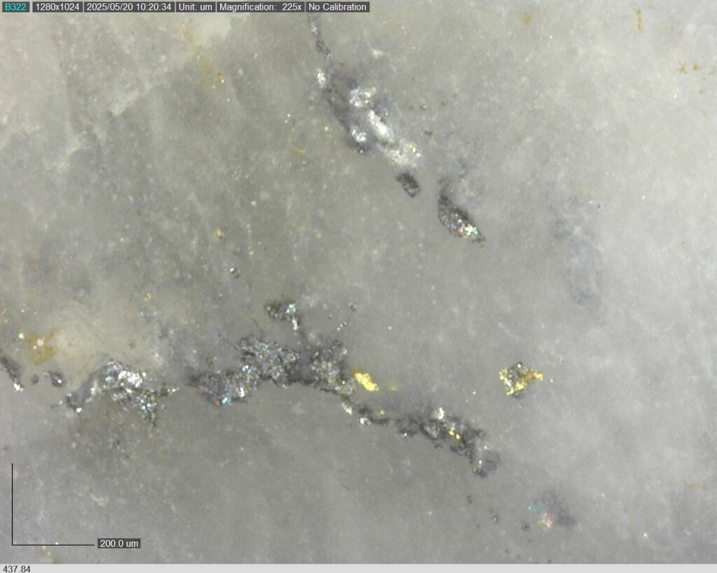 DDRCCC-25-077 437.84m @225x