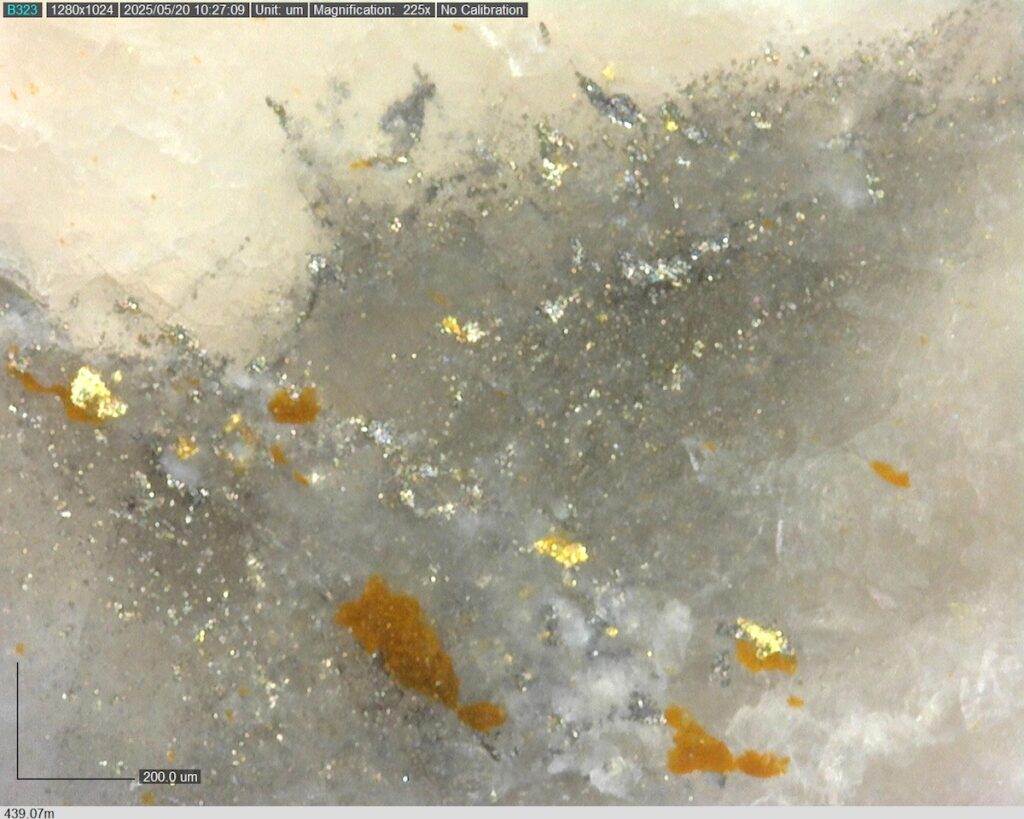 DDRCCC-25-077 439.07m @225x