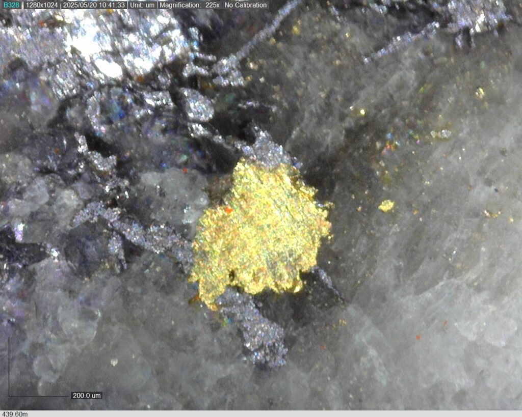 DDRCCC-25-077 439.60m @225x