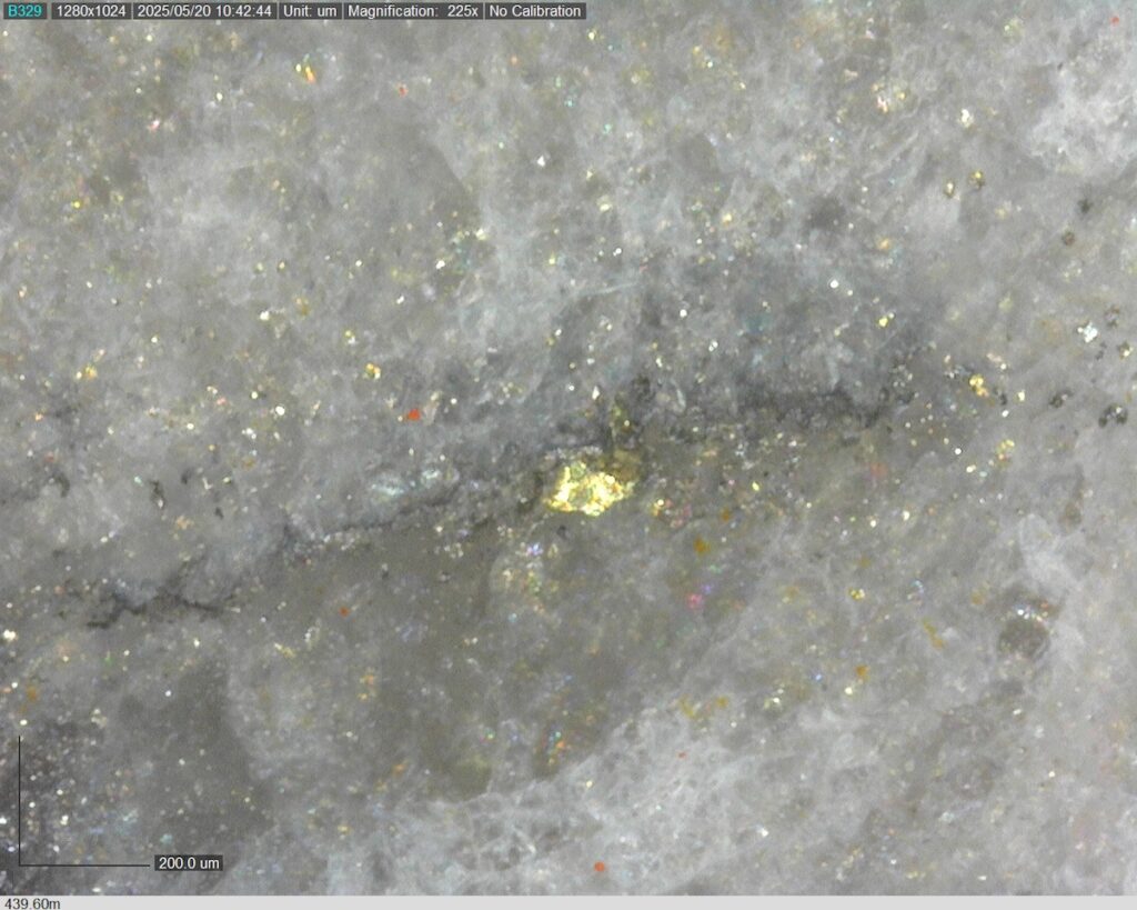 DDRCCC-25-077 439.60m @225x