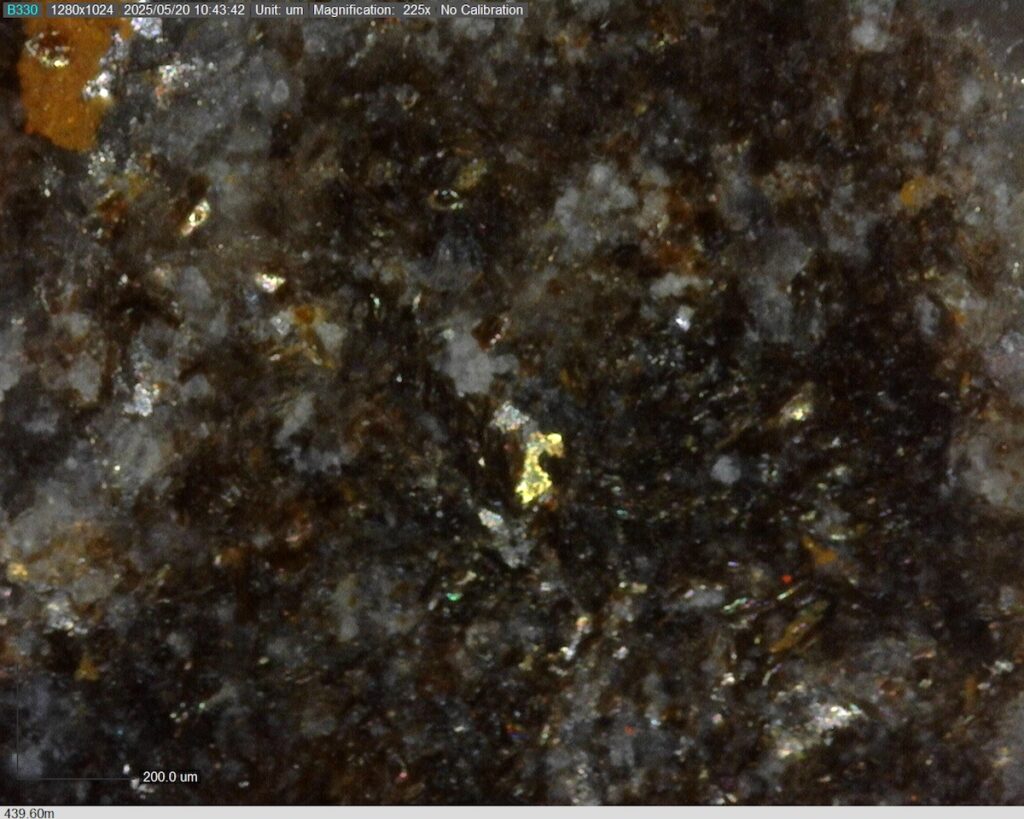 DDRCCC-25-077 439.60m @225x