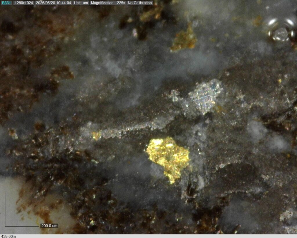 DDRCCC-25-077 439.60m @225x