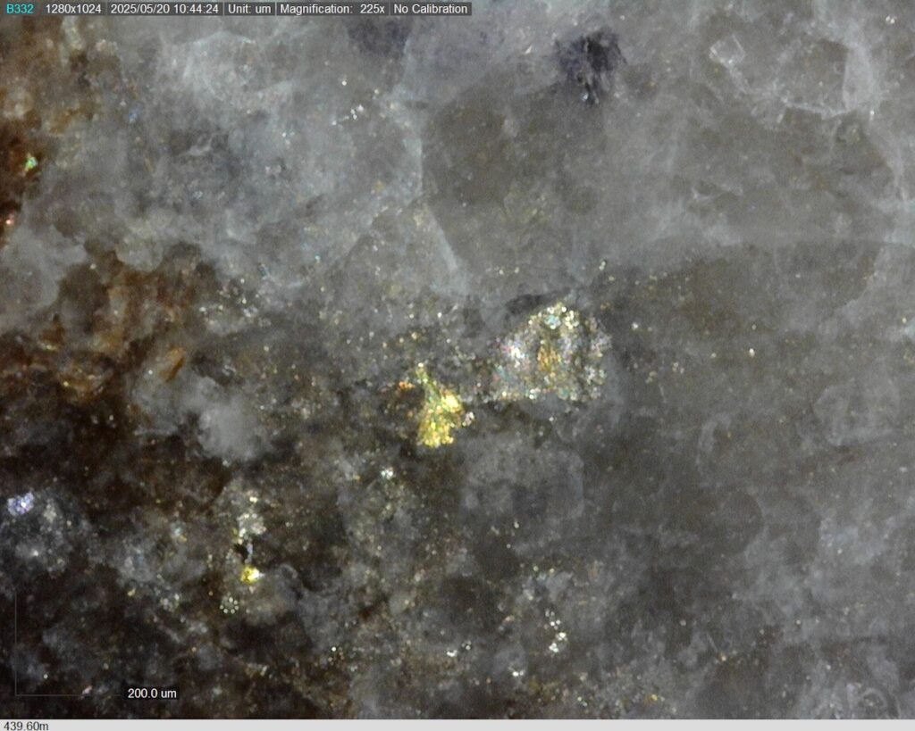 DDRCCC-25-077 439.60m @225x