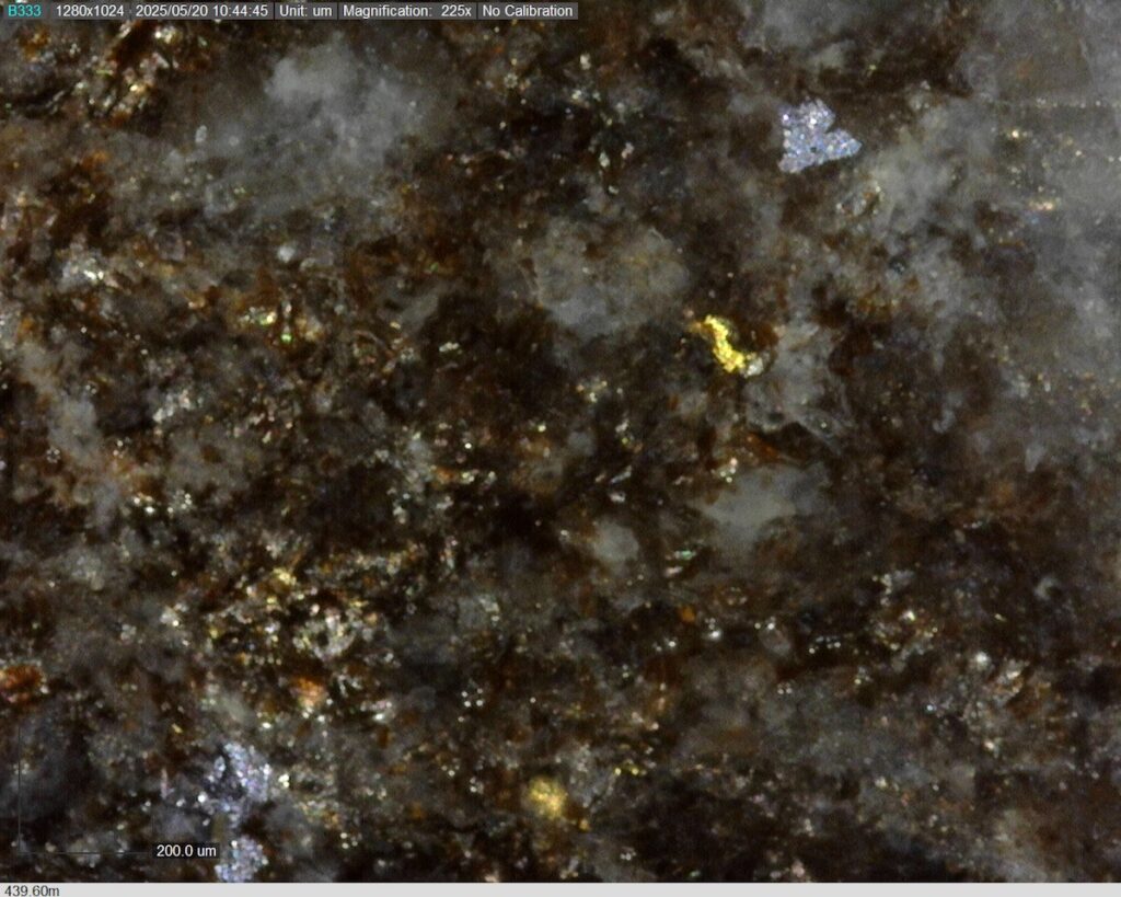 DDRCCC-25-077 439.60m @225x