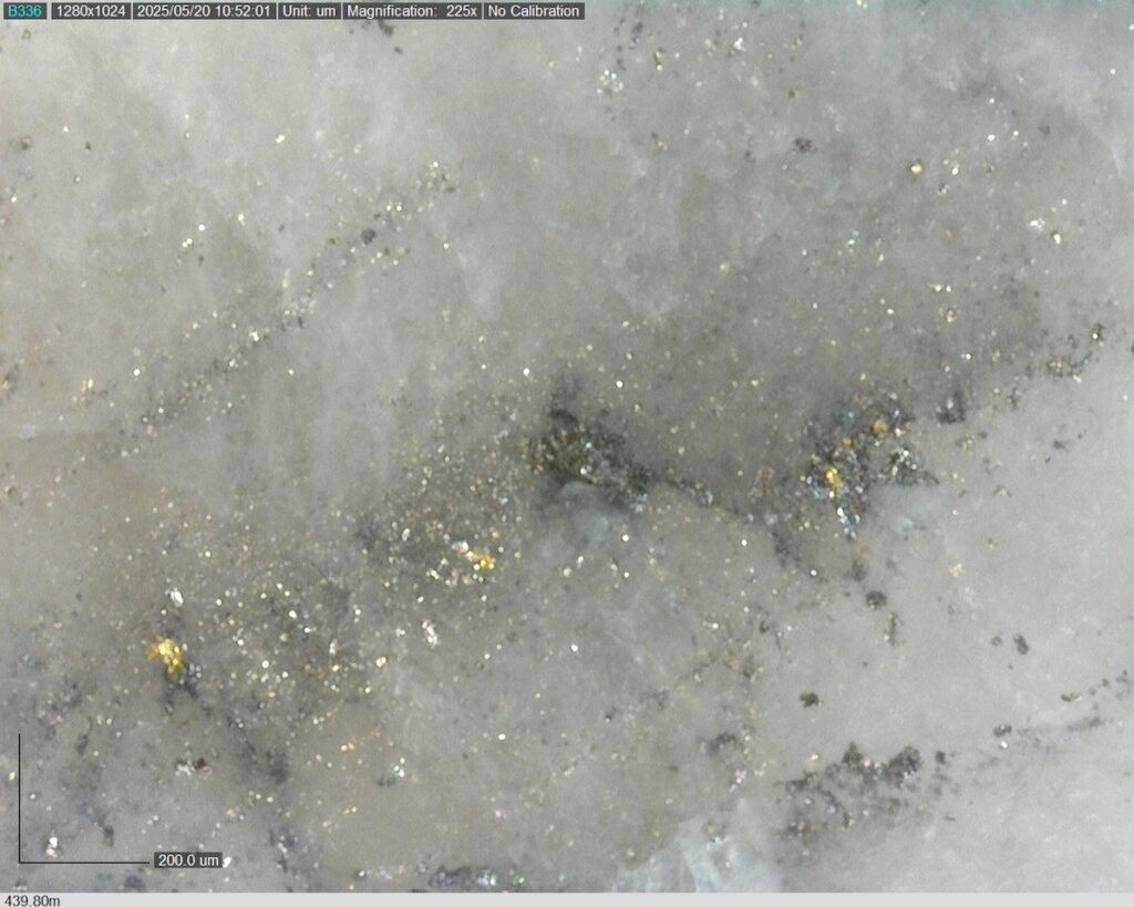 DDRCCC-25-077 439.80m @225x