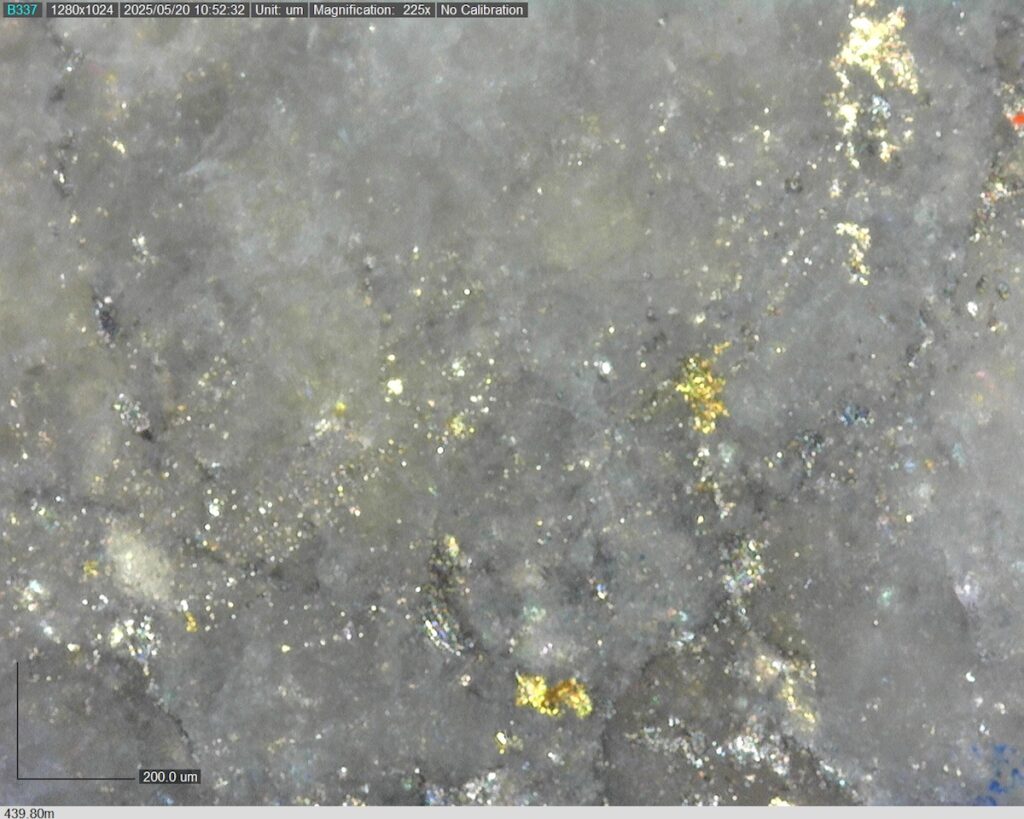 DDRCCC-25-077 439.80m @225x