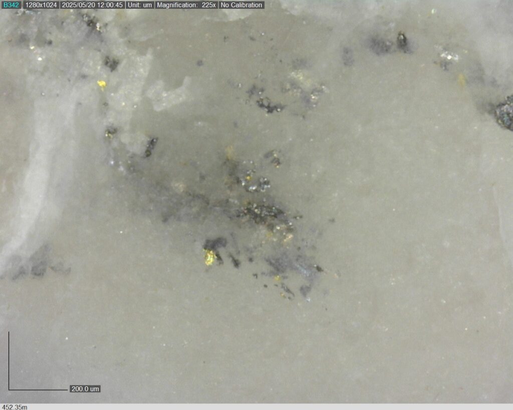 DDRCCC-25-077 452.35m @225x