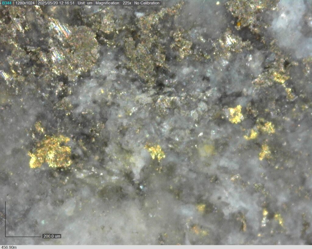 DDRCCC-25-077 456.90m @225x