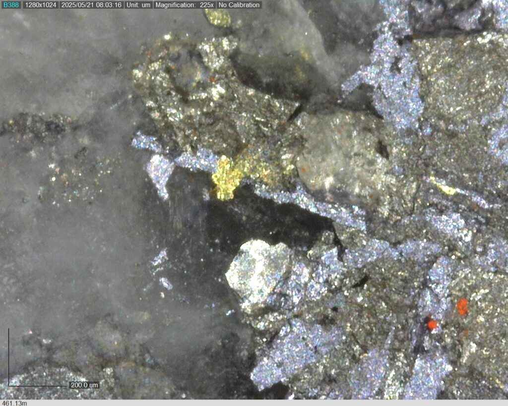 DDRCCC-25-077 461.13m @225x