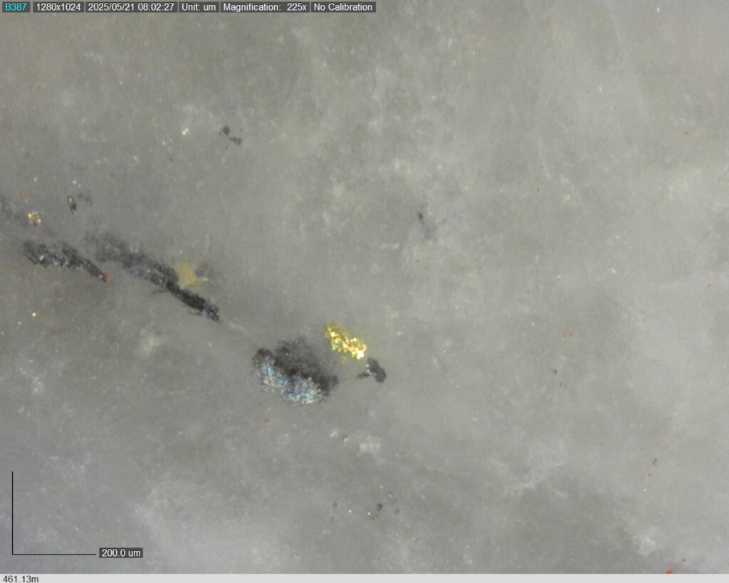 DDRCCC-25-077 461.13m @225x