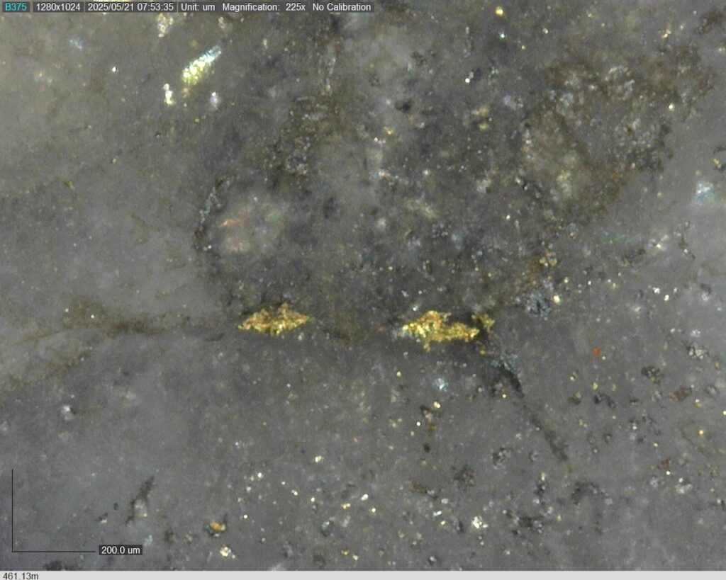 DDRCCC-25-077 461.13m @225x