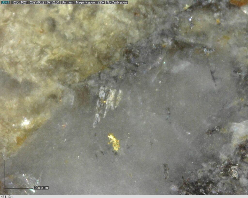 DDRCCC-25-077 461.13m @225x