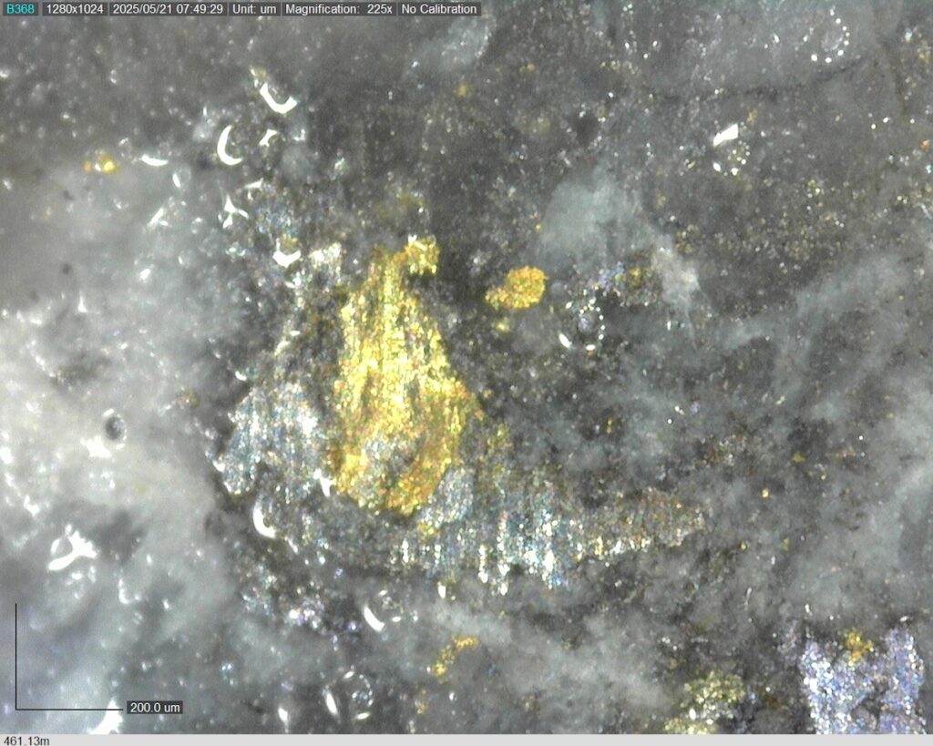 DDRCCC-25-077 461.13m @225x