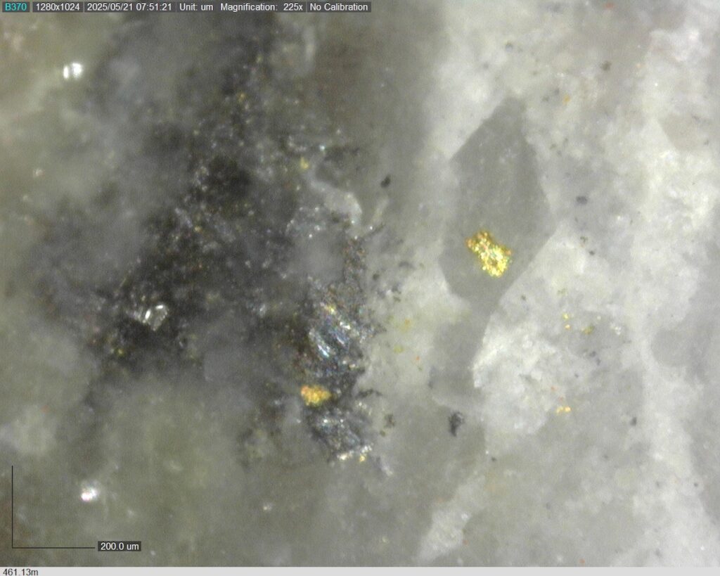 DDRCCC-25-077 461.13m @225x