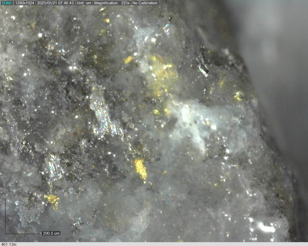 DDRCCC-25-077 461.13m @225x