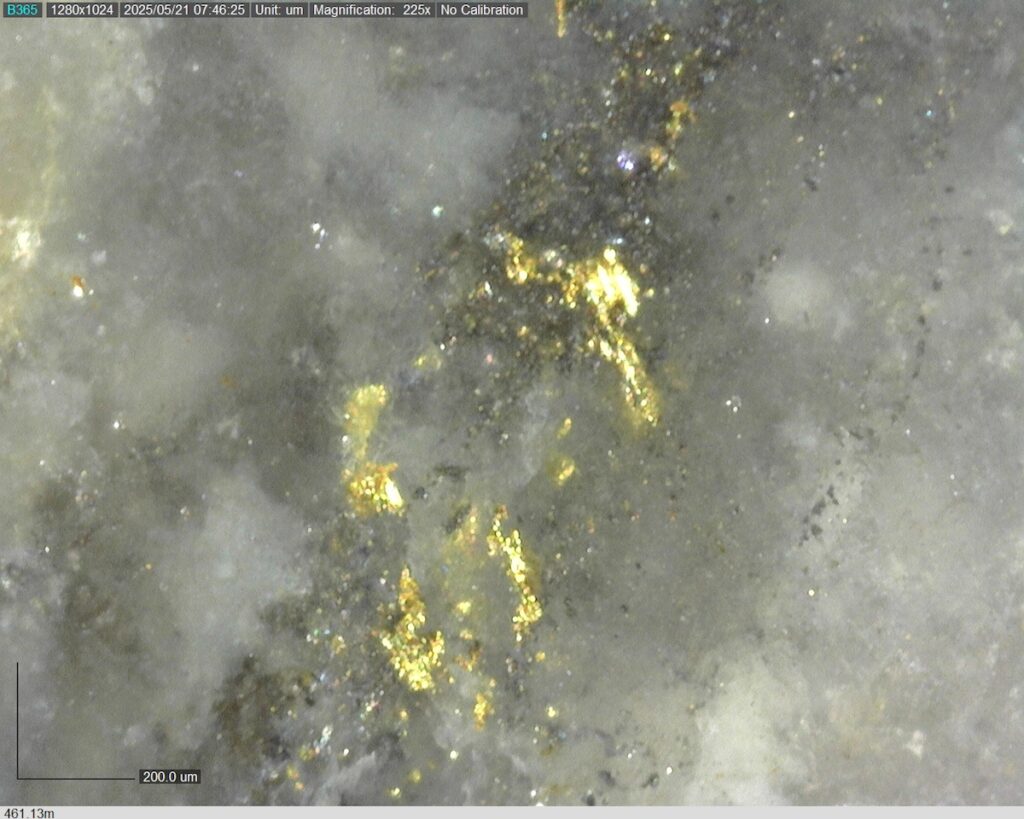 DDRCCC-25-077 461.13m @225x