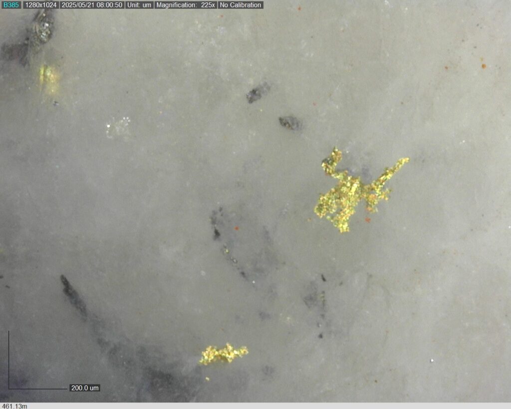 DDRCCC-25-077 461.13m @225x