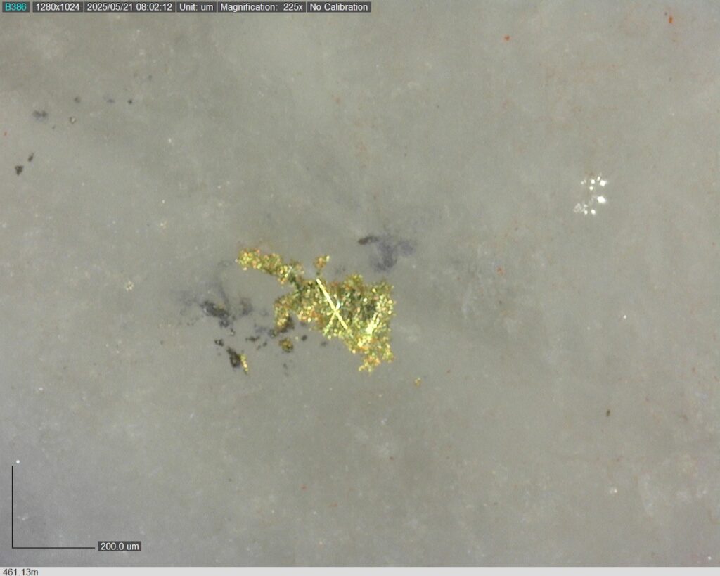 DDRCCC-25-077 461.13m @225x