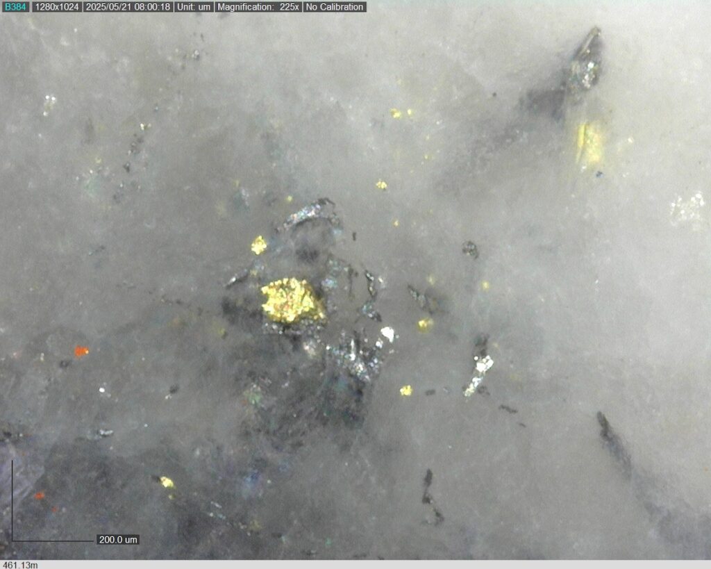 DDRCCC-25-077 461.13m @225x