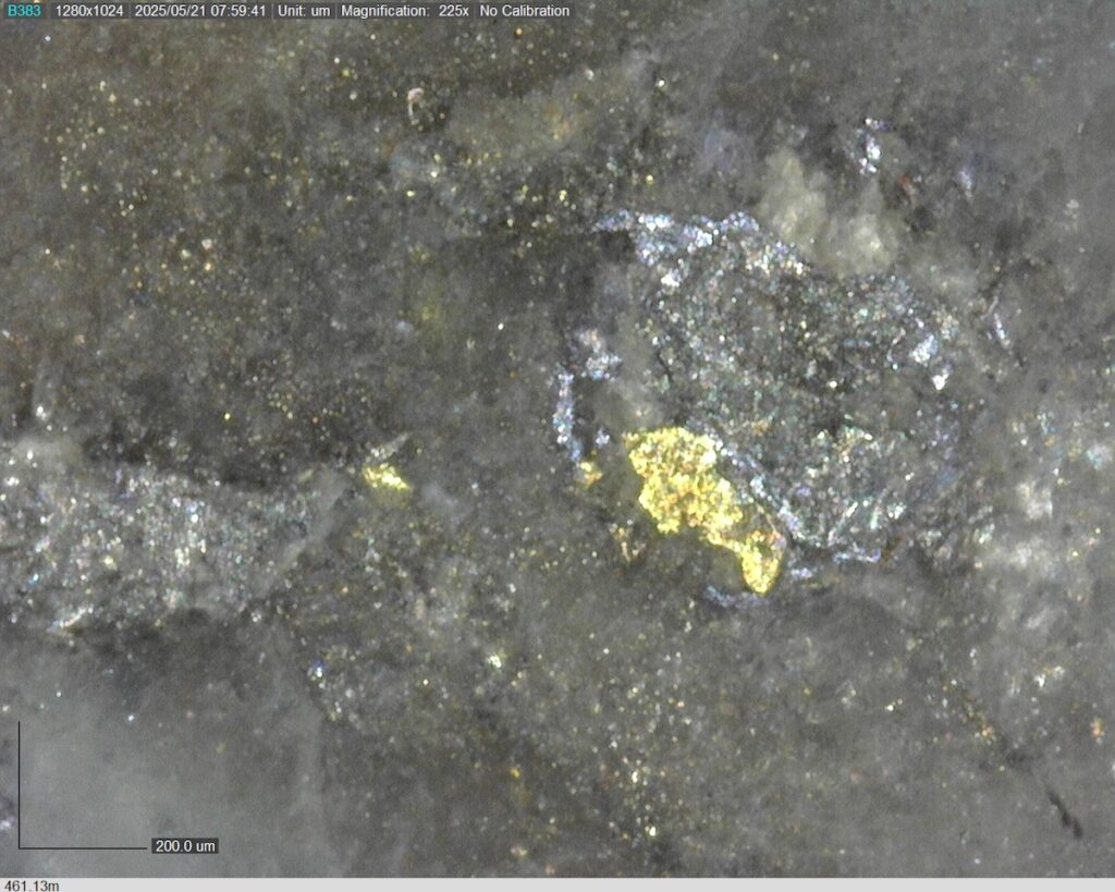 DDRCCC-25-077 461.13m @225x