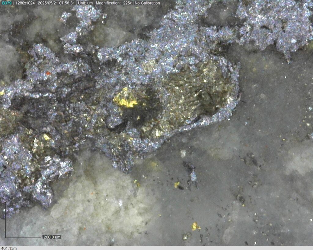 DDRCCC-25-077 461.13m @225x