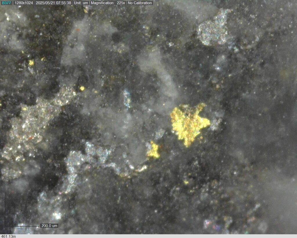 DDRCCC-25-077 461.13m @225x