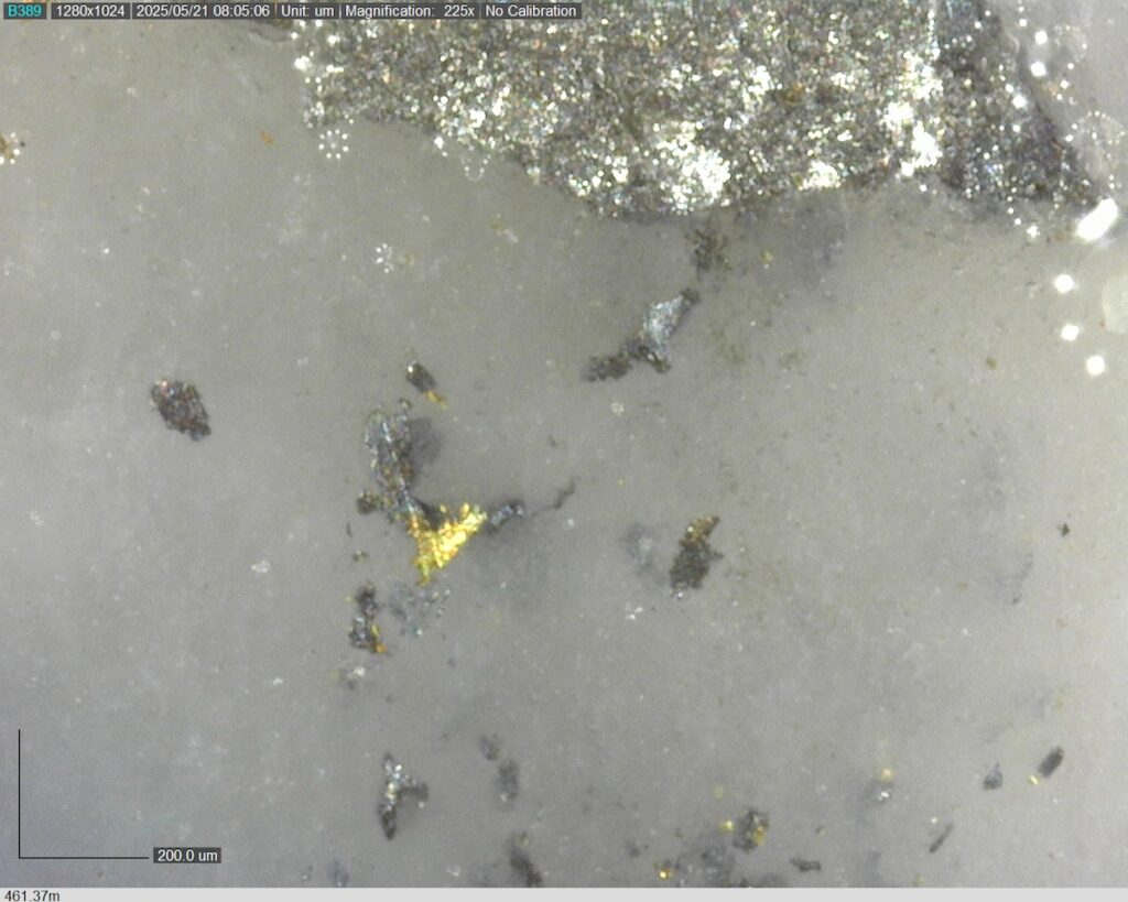 DDRCCC-25-077 461.37m @225x