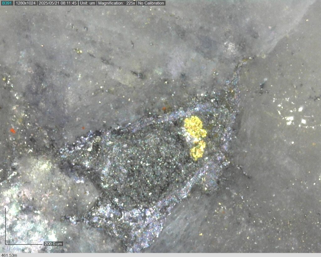 DDRCCC-25-077 461.53m @225x