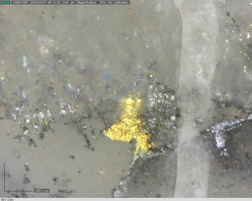 DDRCCC-25-077 461.53m @225x