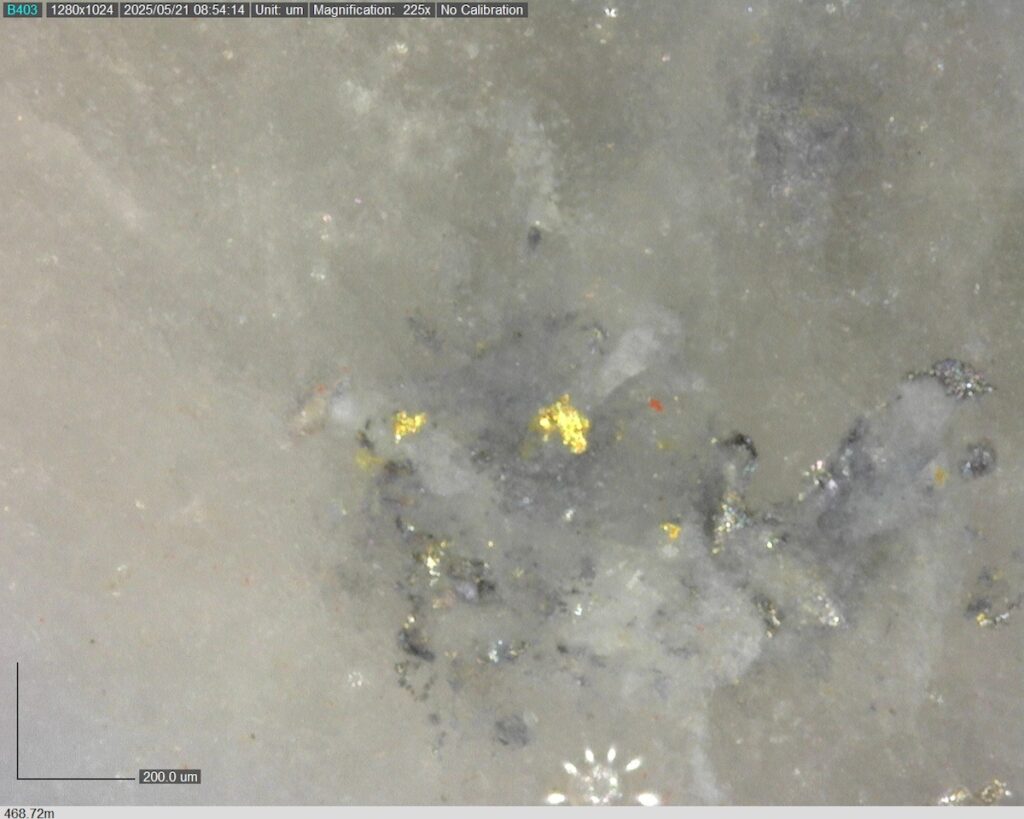 DDRCCC-25-077 468.72m @225x