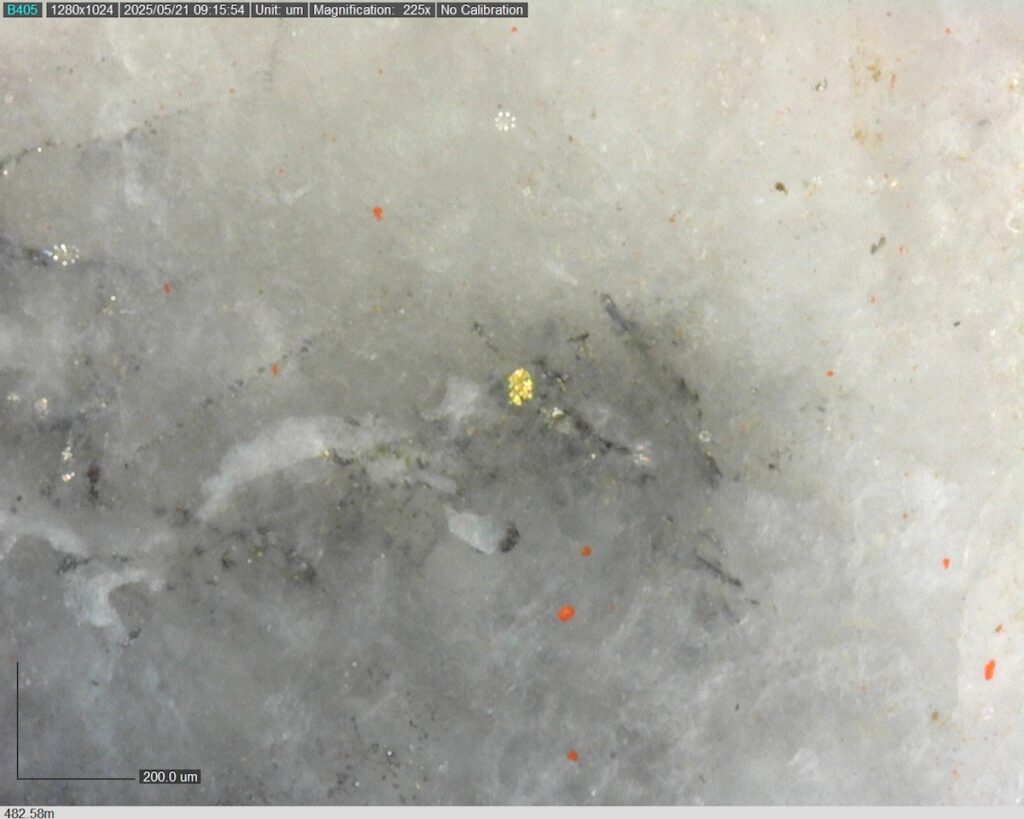 DDRCCC-25-077 482.58m @225x