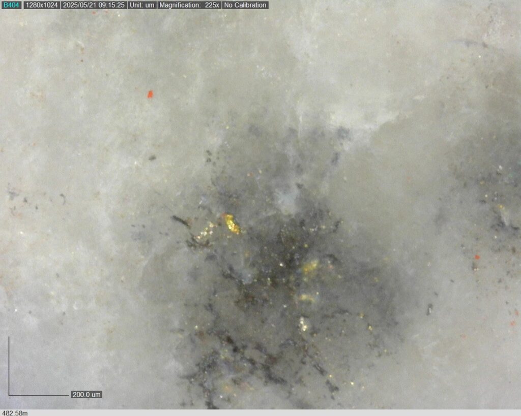 DDRCCC-25-077 482.58m @225x