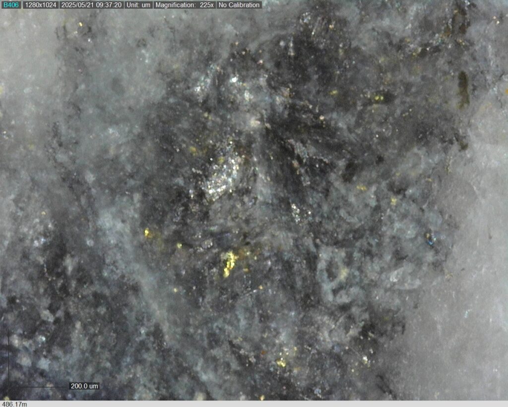 DDRCCC-25-077 486.17m @225x