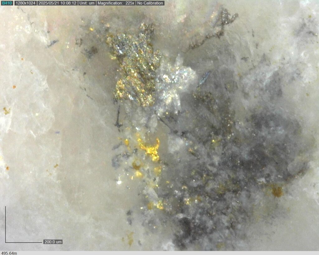 DDRCCC-25-077 495.64m @225x