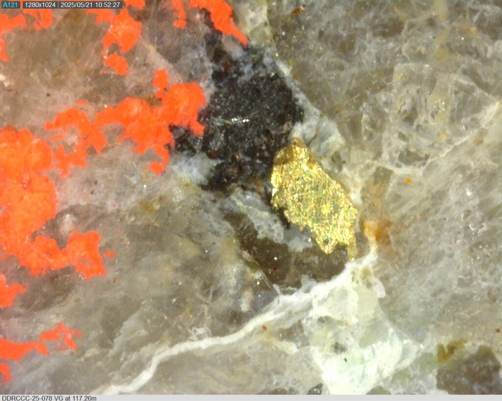 DDRCCC-25-078 117.26m @225x