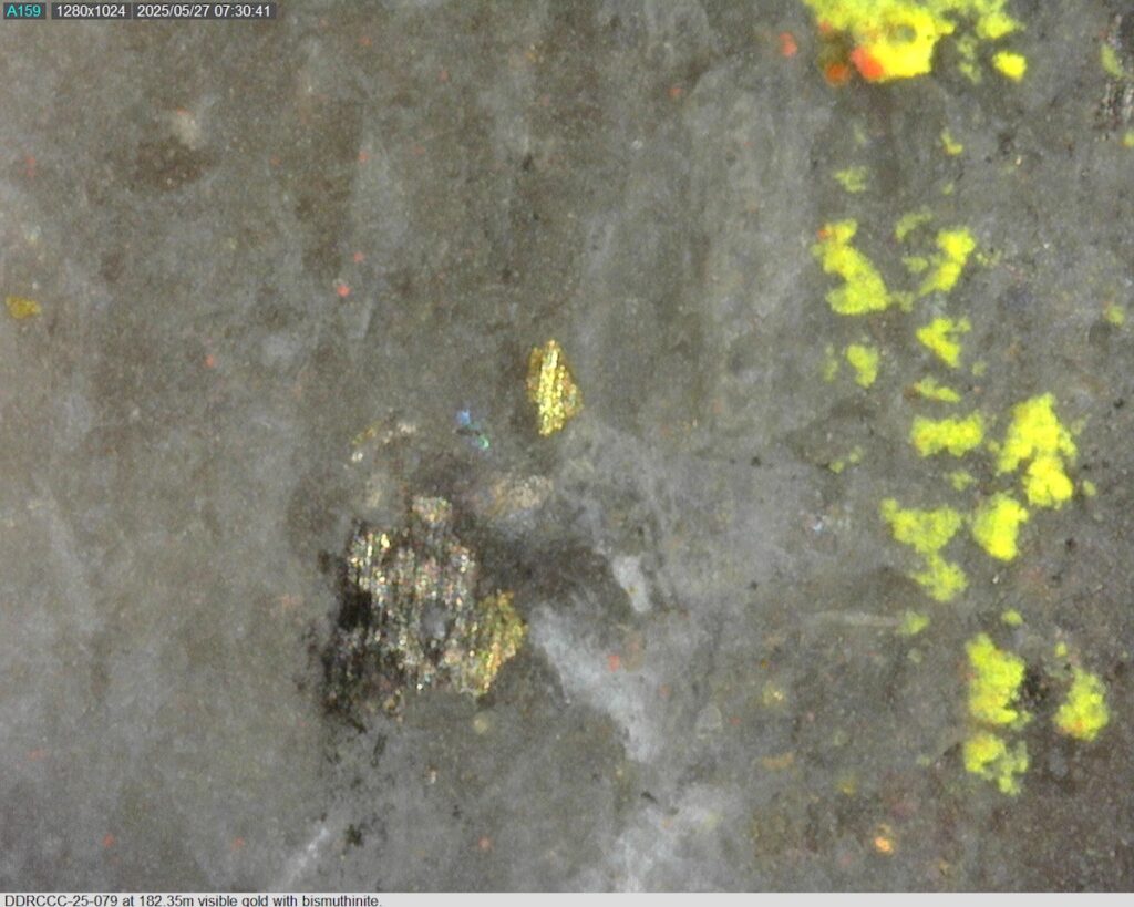 DDRCCC-25-079 182.35m @225x