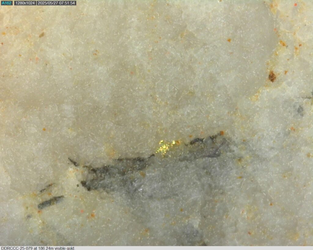 DDRCCC-25-079 186.24m @225x