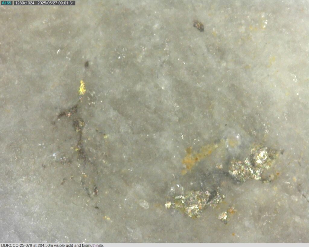 DDRCCC-25-079 204.50mm @225x